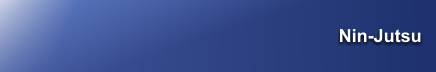 Nin-Jutsu