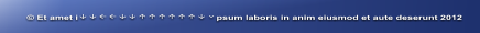 © Et amet ipsum laboris in anim eiusmod et aute deserunt 2012